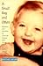 A Small Boy and Others: Imitation and Initiation in American Culture from Henry James to Andy Warhol (Series Q)