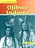 Ojibwe Indians (Native Americans)