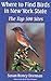 Where to Find Birds in New York State: The Top 500 Sites (New York State Series)