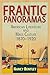 Frantic Panoramas: American Literature and Mass Culture, 187-192