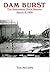 Damburst by Tom   McCarthy
