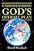 Understanding God's Overall Plan by David Hamilton Murdoch