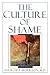 The Culture of Shame by Andrew P. Morrison