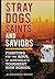 Stray Dogs, Saints, and Saviors by Alexander Russo
