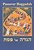 Passover Haggadah by Michal Meron