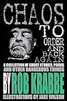 Chaos to Order and Back Again by Mr Rob Krabbe