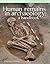 Human Remains in Archaeology by Charlotte A. Roberts