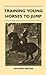 Training Young Horses To Jump