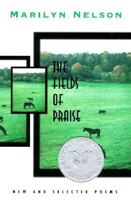 The Fields of Praise: New and Selected Poems (Paperback)