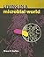 Living in a Microbial World