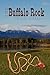 The Buffalo Rock (A Novel)