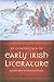Introduction to Early Irish...