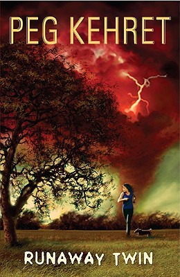 Runaway Twin (Hardcover)