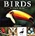 Birds: a visual guide