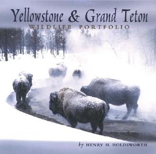 Yellowstone & Grand Teton Wildlife Portfolio (Hardcover)