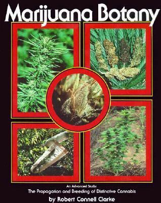 Marijuana Botany: An Advanced Study: The Propagation and Breeding of Distinctive Cannabis (Paperback)