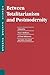 Between Totalitarianism and Postmodernity: A Thesis Eleven Reader