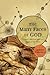 The Many Faces of God by Jeremy Campbell