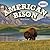 American Bison (American Animals)