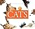 Cats (Pet Care for Kids)
