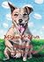 Mitzvah the Mutt by Sylvia A. Rouss