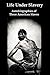 Life Under Slavery: Autobiographies of Three American Slaves