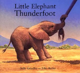 Little Elephant Thunderfoot (Hardcover)