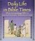 Daily Life in Bible Times: What Archaeology Can Tell Us
