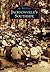 Jacksonville's Southside (Images of America: Florida)