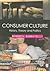 Consumer Culture by Roberta Sassatelli