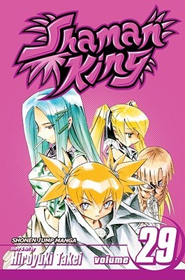 Shaman King, Vol. 29: The Shaman Fight Shakedown (Paperback)