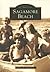Sagamore Beach (Images of America: Massachusetts)