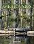 Wetlands (Biomes Atlases)