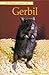 Pet Owner's Guide to the Gerbil