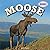 Moose (American Animals)