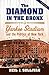 The Diamond in the Bronx by Neil J. Sullivan