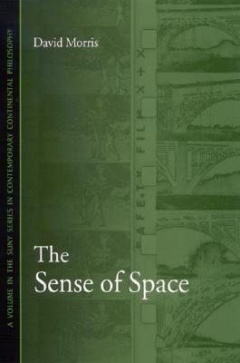 The Sense of Space (Contemporary Contin Philosophy)
