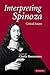 Interpreting Spinoza: Critical Essays