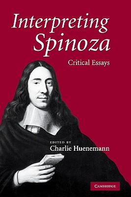 Interpreting Spinoza: Critical Essays (Hardcover)