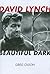 David Lynch: Beautiful Dark (The Scarecrow Filmmakers Series)