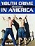 Youth Crime in America by Roy Lotz