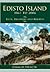 Edisto Island, 1861 to 2006: Ruin, Recovery and Rebirth (Definitive History)