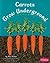 Carrots Grow Underground
