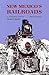 New Mexico's Railroads: A H...