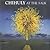 Chihuly at the Salk [With DVD]