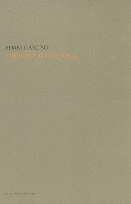 The Feeling of Things By Adam Caruso (Hardcover)