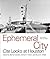Ephemeral City: Cite Looks at Houston