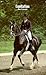 Equitation: Learning and Teaching