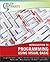 Wiley Pathways Introduction to Programming using Visual Basic
