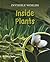 Inside Plants (Invisible Worlds)